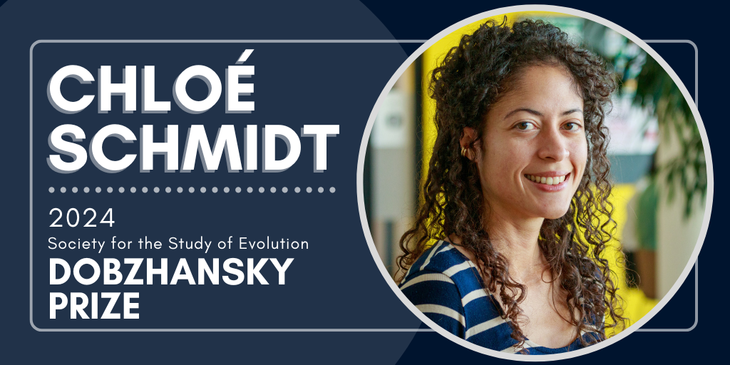 Text: Chloé Schmidt, 2024 Society for the Study of Evolution Dobzhansky Prize. Headshot of Chloé Schmidt.